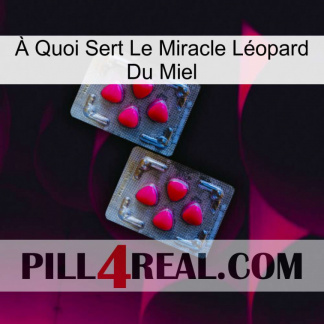 À Quoi Sert Le Miracle Léopard Du Miel 14
